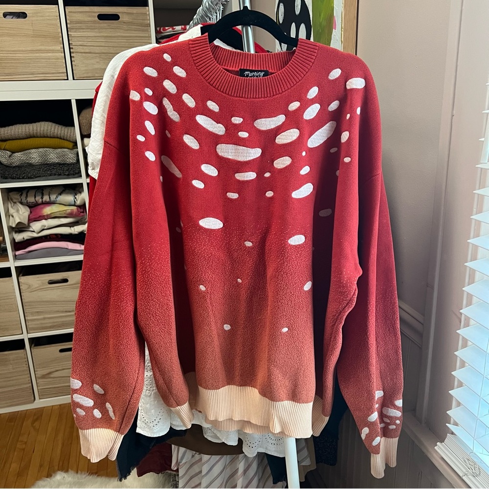 Morning Witch Amanita Embroidered Sweater